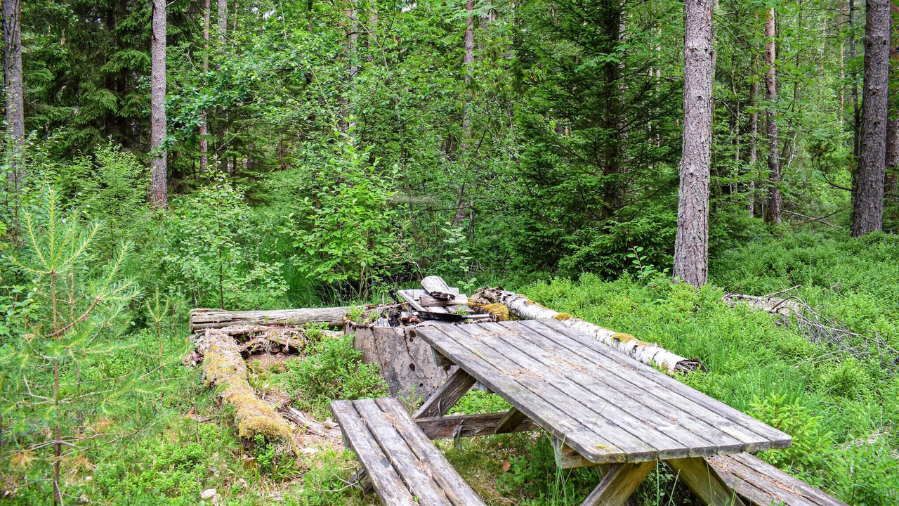 Photo of Others in Markaryd Municipality
