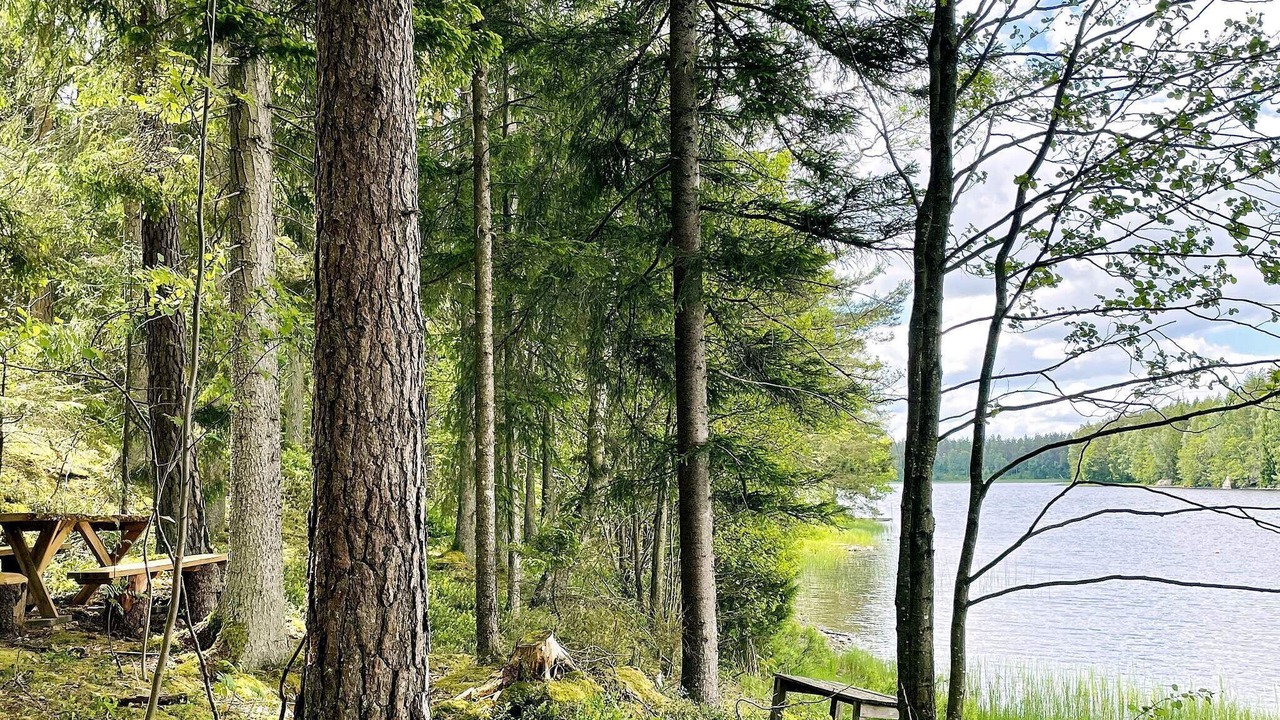 Photo of Others in Hacksvik