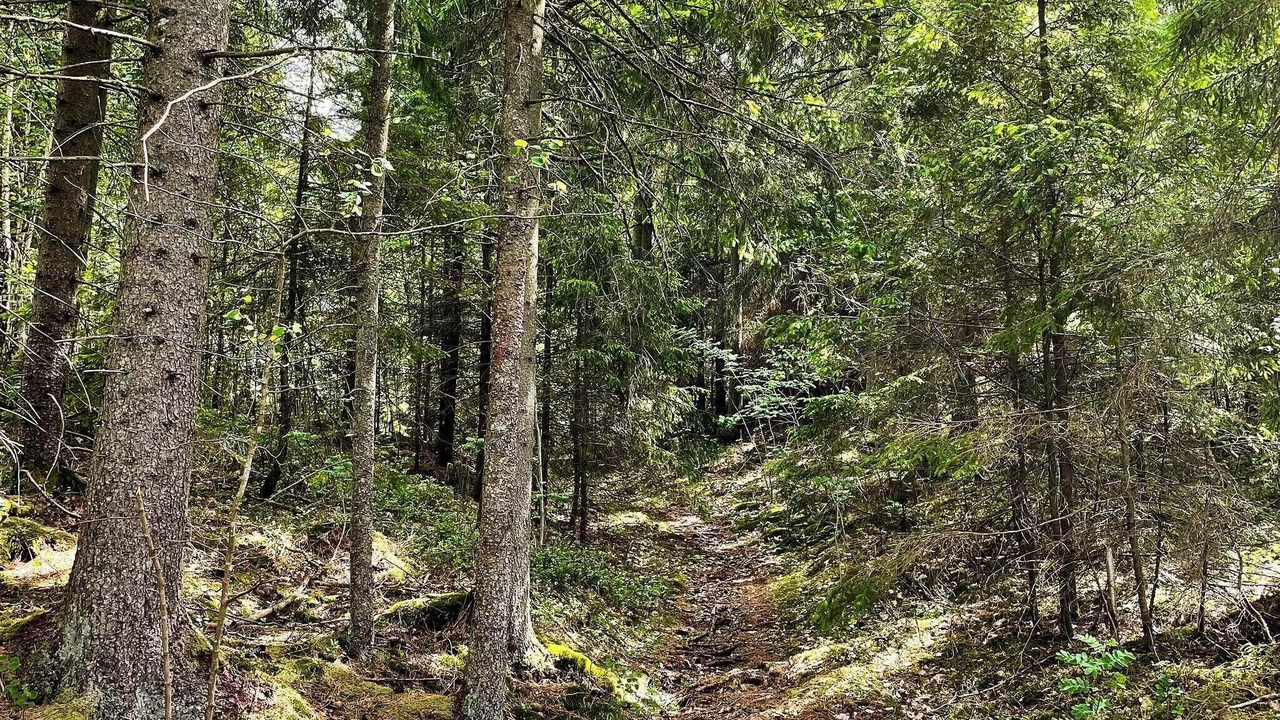 Photo of Outdoor in Hacksvik