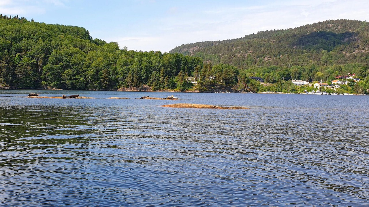 Photo of Others in Kristiansand