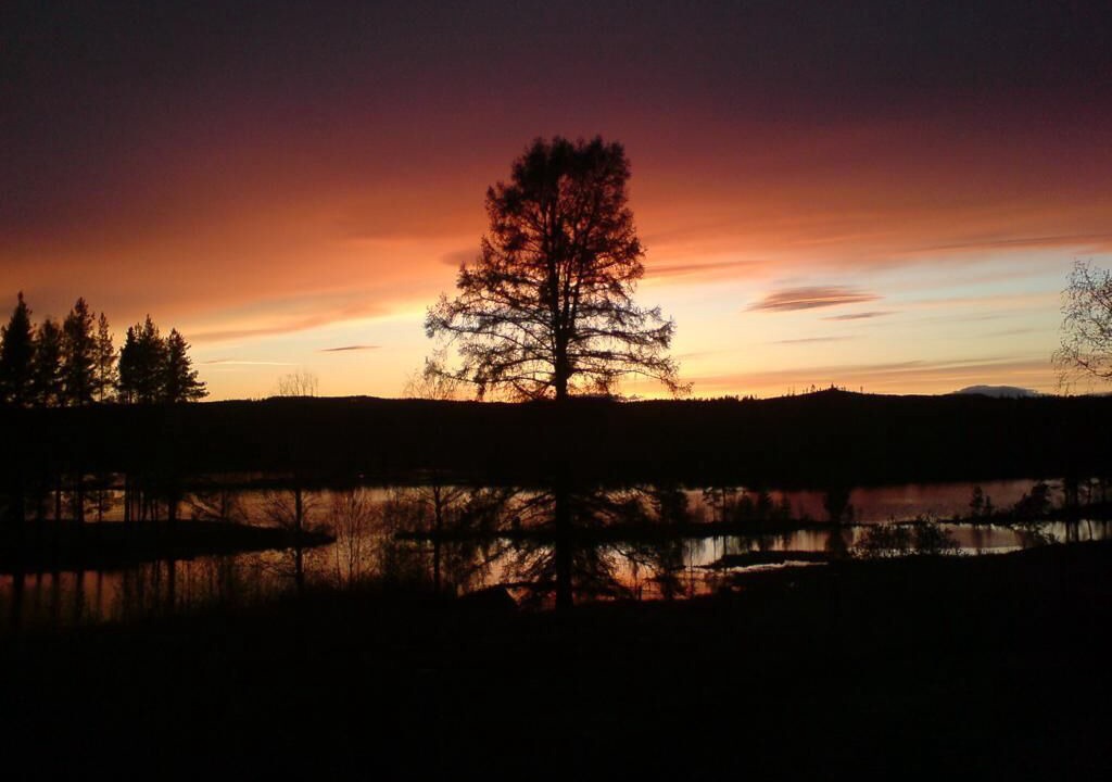 Photo of Outdoor in Furudals bruk
