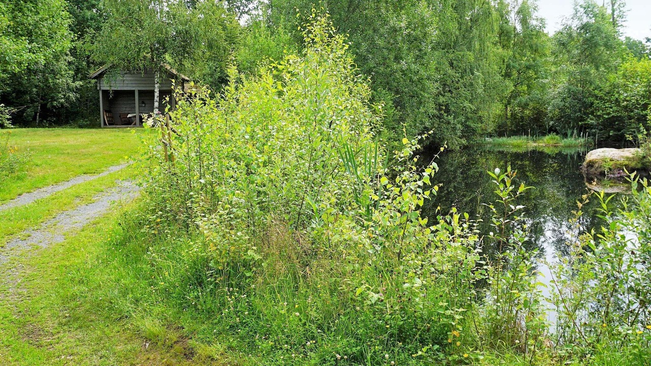 Photo of Outdoor in Tingsryd