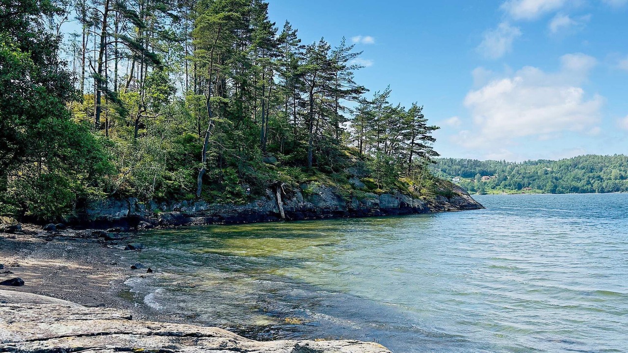 Photo of Others in Ljungskile