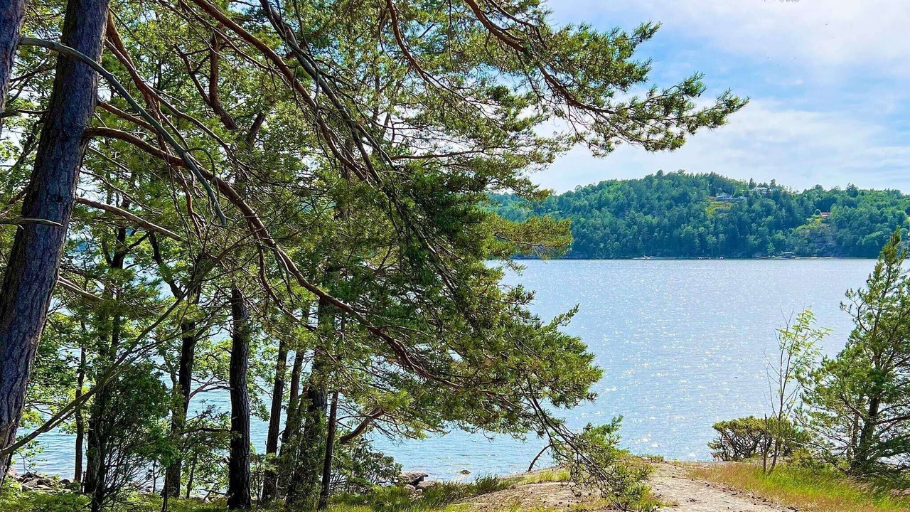 Photo of Others in Ljungskile