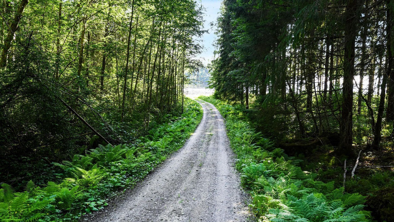 Photo of Others in Amotfors