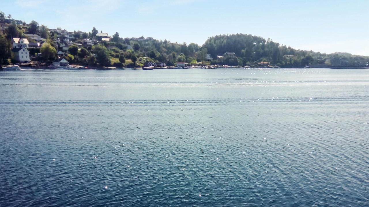 Photo of Others in Arendal
