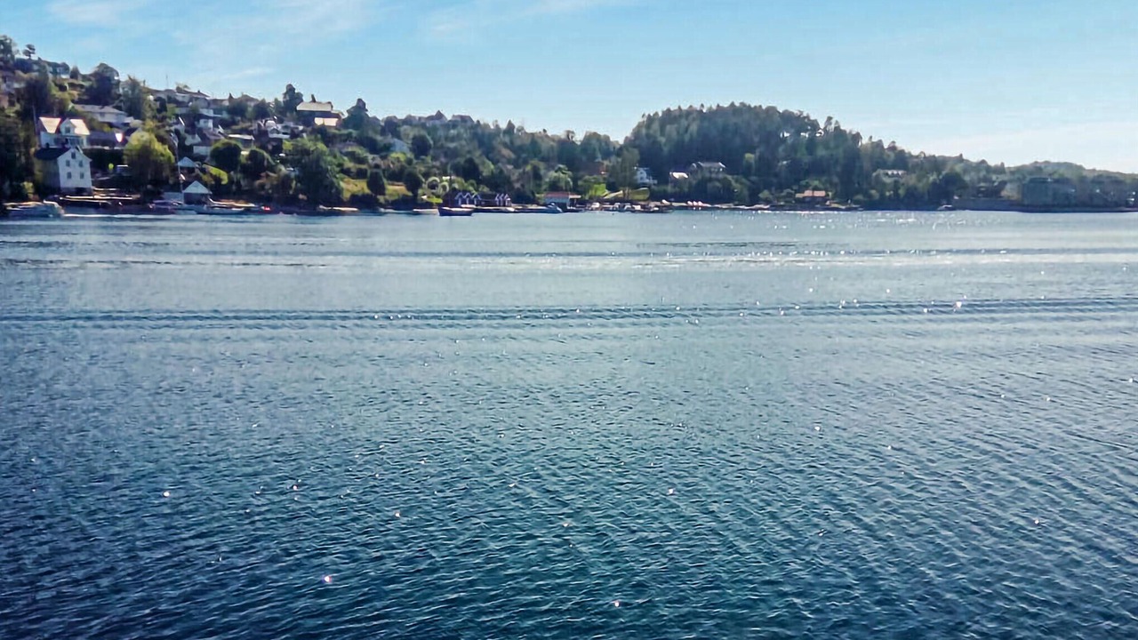 Photo of Others in Arendal