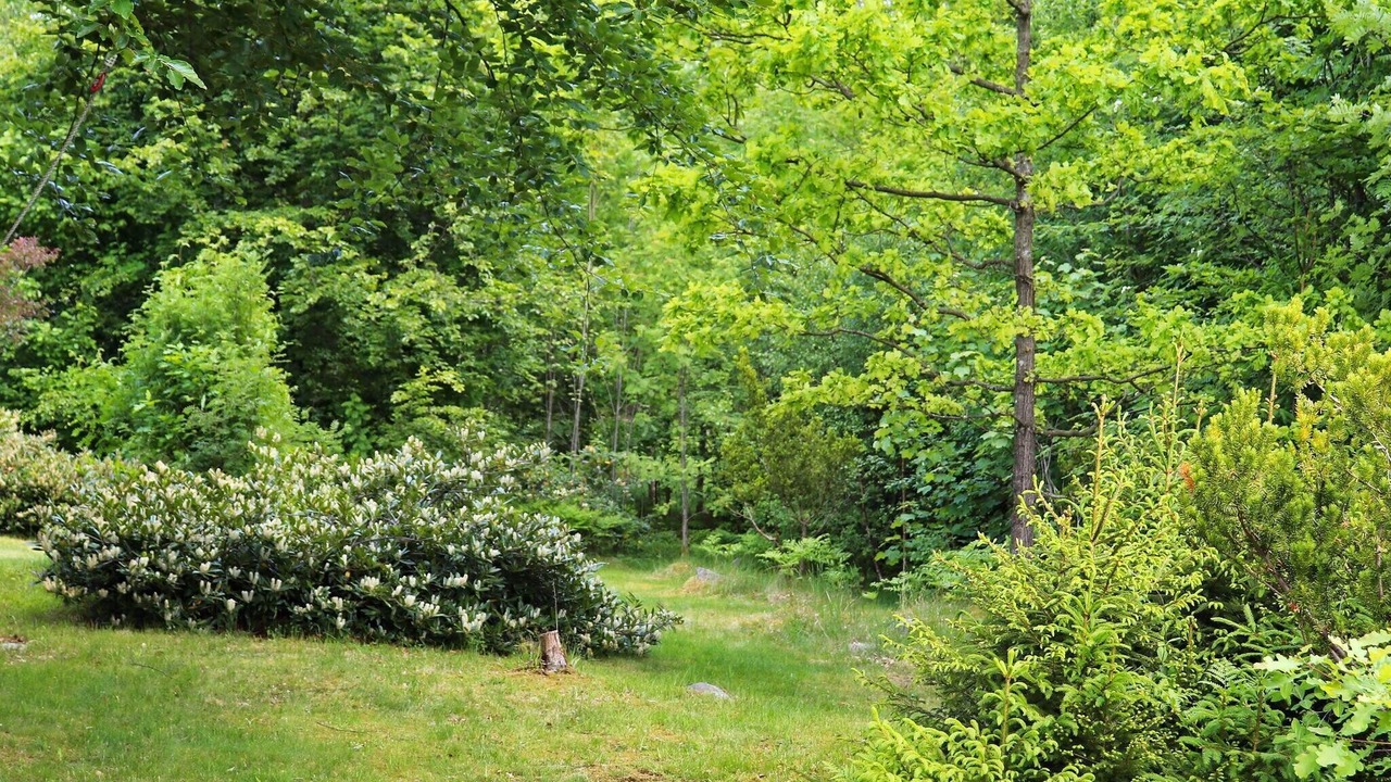 Photo of Outdoor in Orkelljunga Municipality