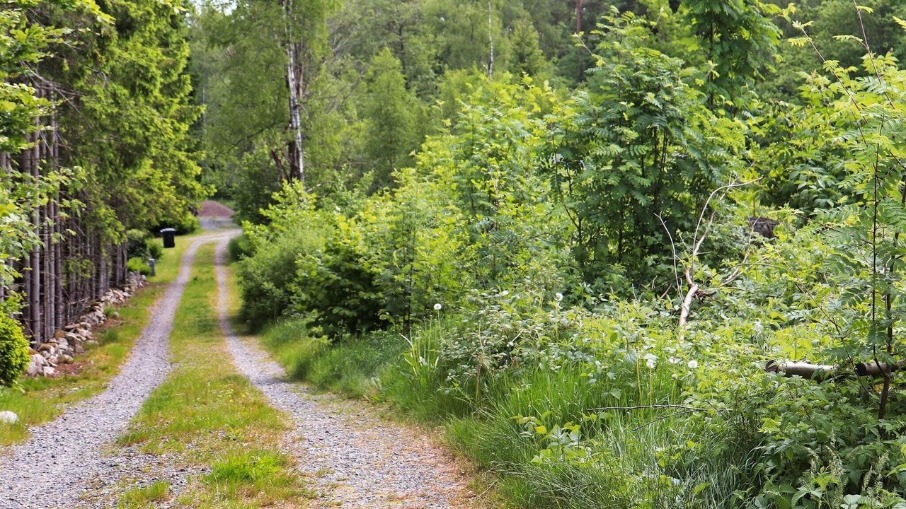 Photo of Outdoor in Orkelljunga Municipality