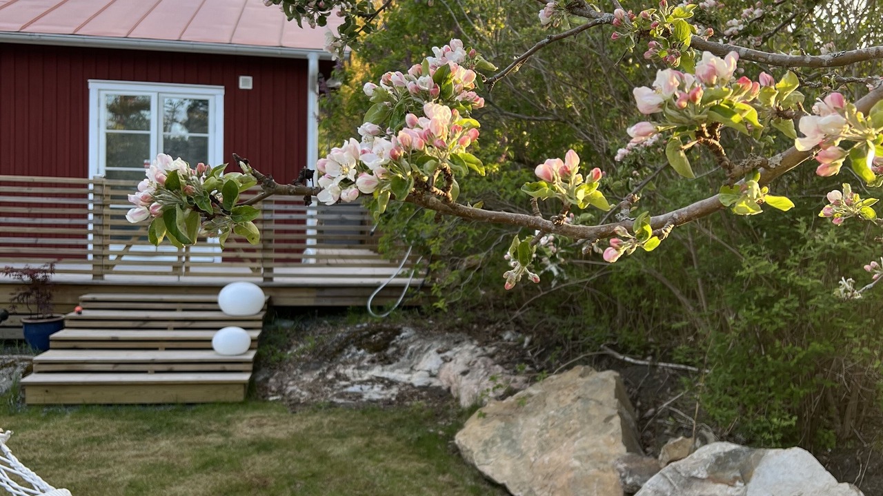 Photo of Outdoor in Saltsjo Boo