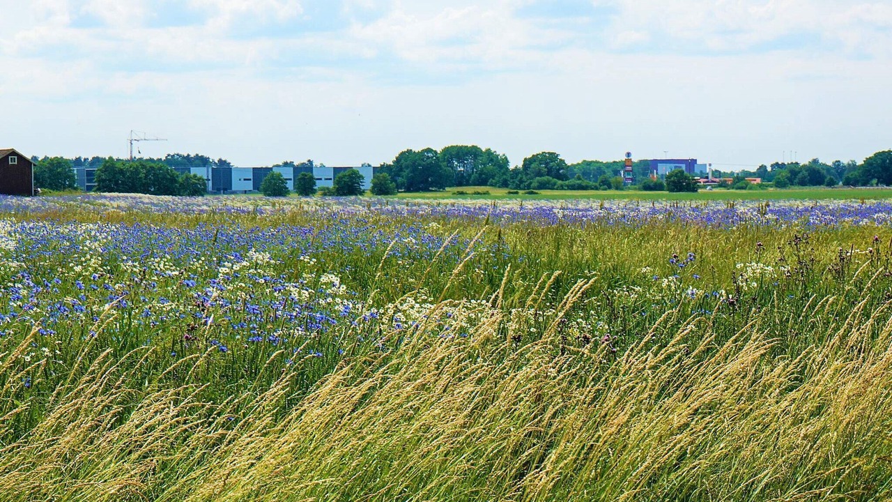 Photo of Outdoor in Mariestad Municipality