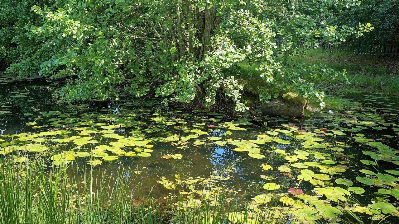 Photo of Others in Mariestad Municipality