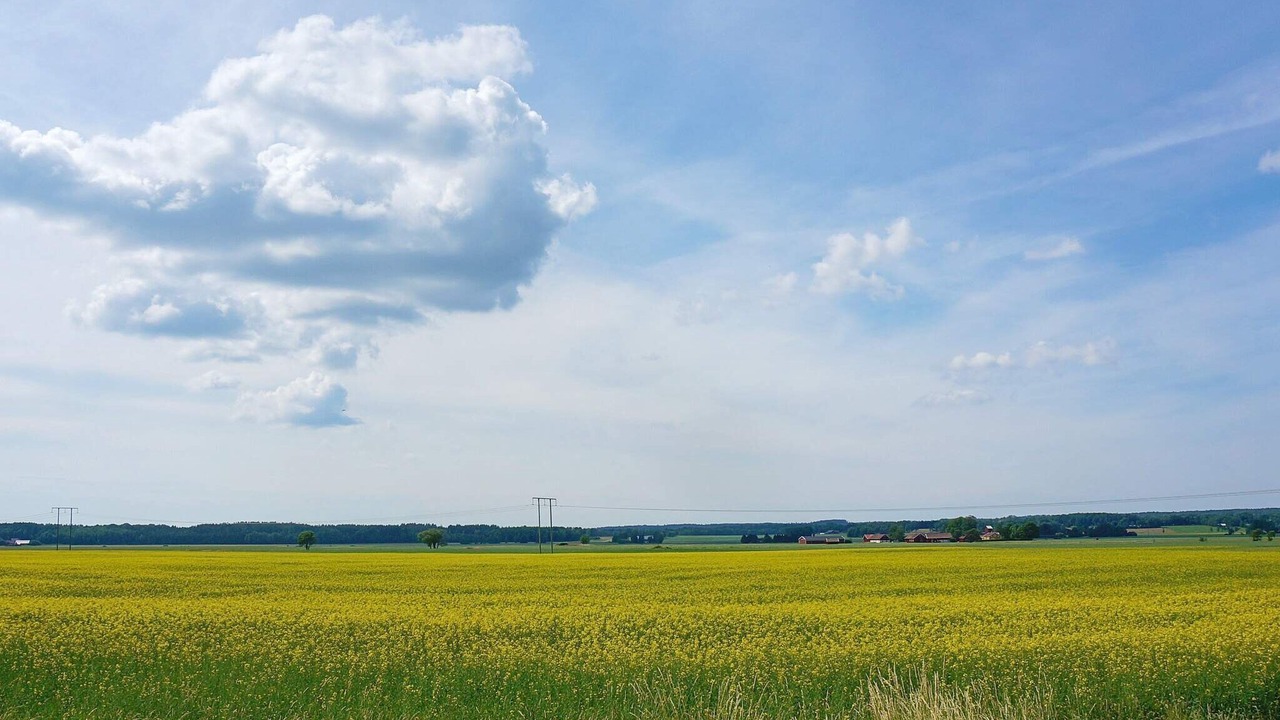 Photo of Others in Mariestad Municipality
