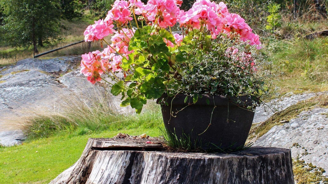 Photo of Outdoor in Vastra Gotaland