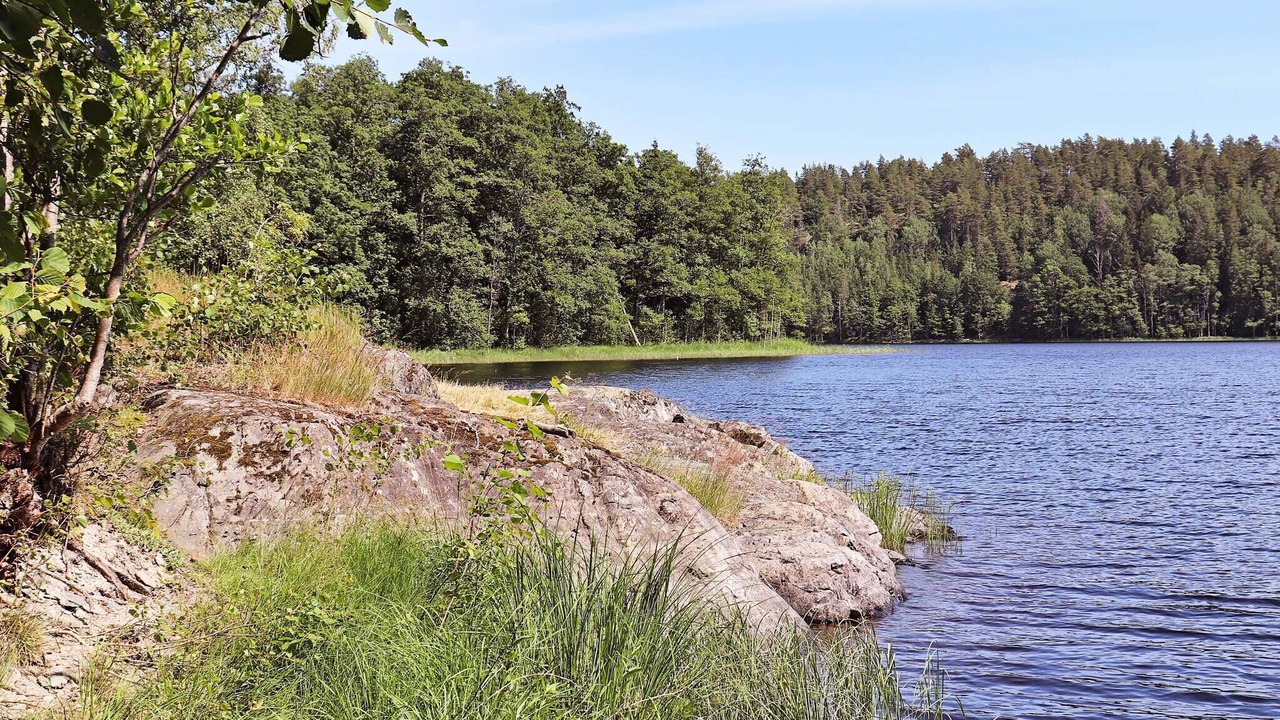 Photo of Others in Mellerud