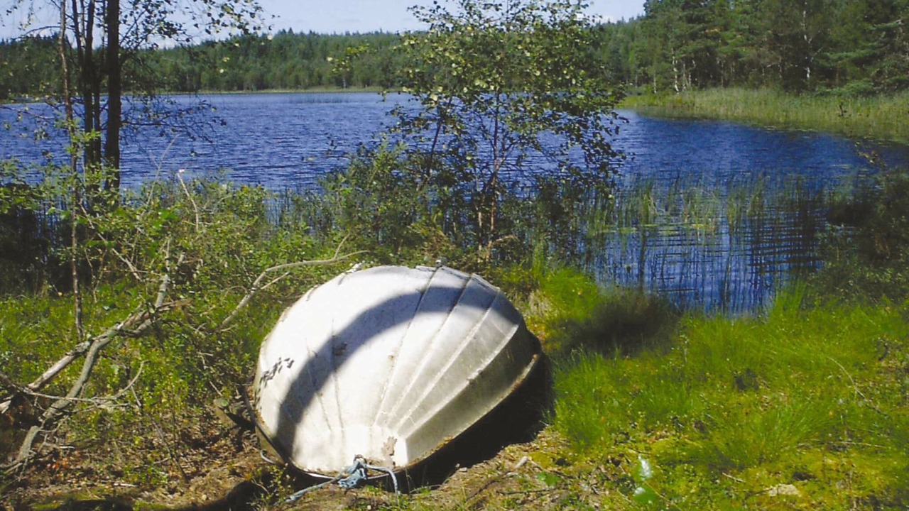 Photo of Others in Torsby