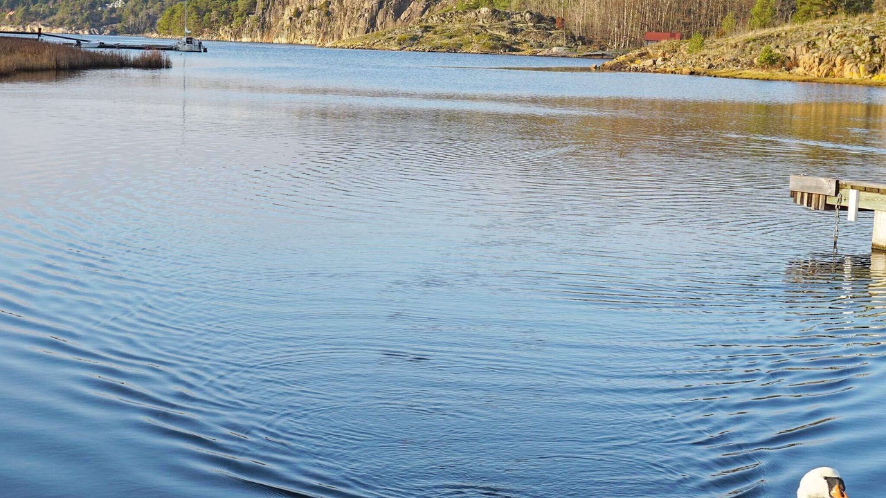 Photo of Others in Lokholmen