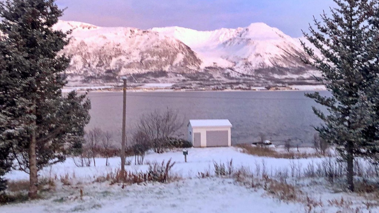 Photo of Others in Lyngen