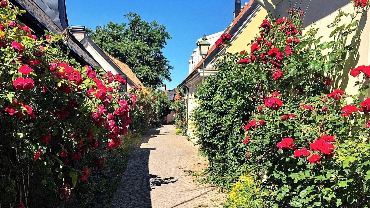 Photo of Outdoor in Vastergarn