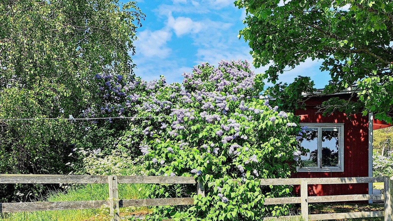 Photo of Outdoor in Vastergarn