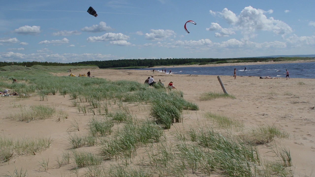 Photo of Others in Laholm Municipality