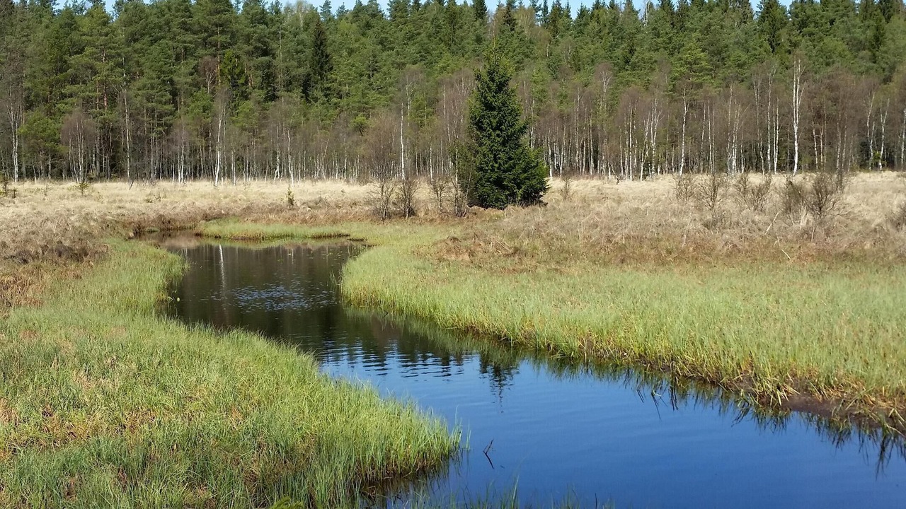 Photo of Others in Laholm Municipality