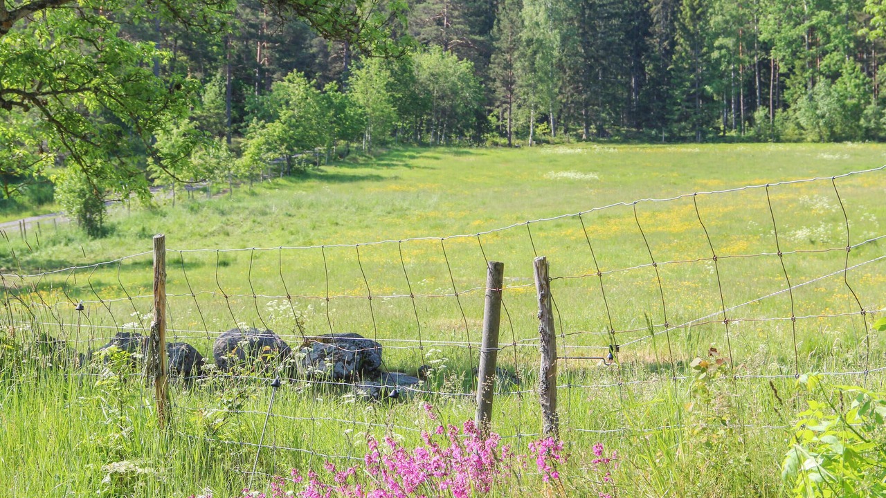 Photo of Outdoor in Gamleby