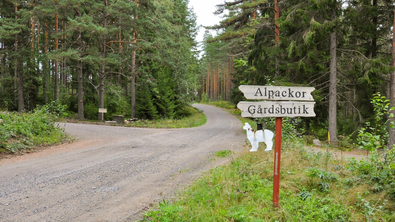 Photo of Others in Sunne Municipality