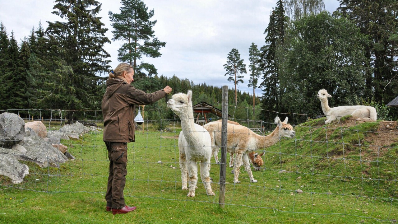 Photo of Others in Sunne Municipality