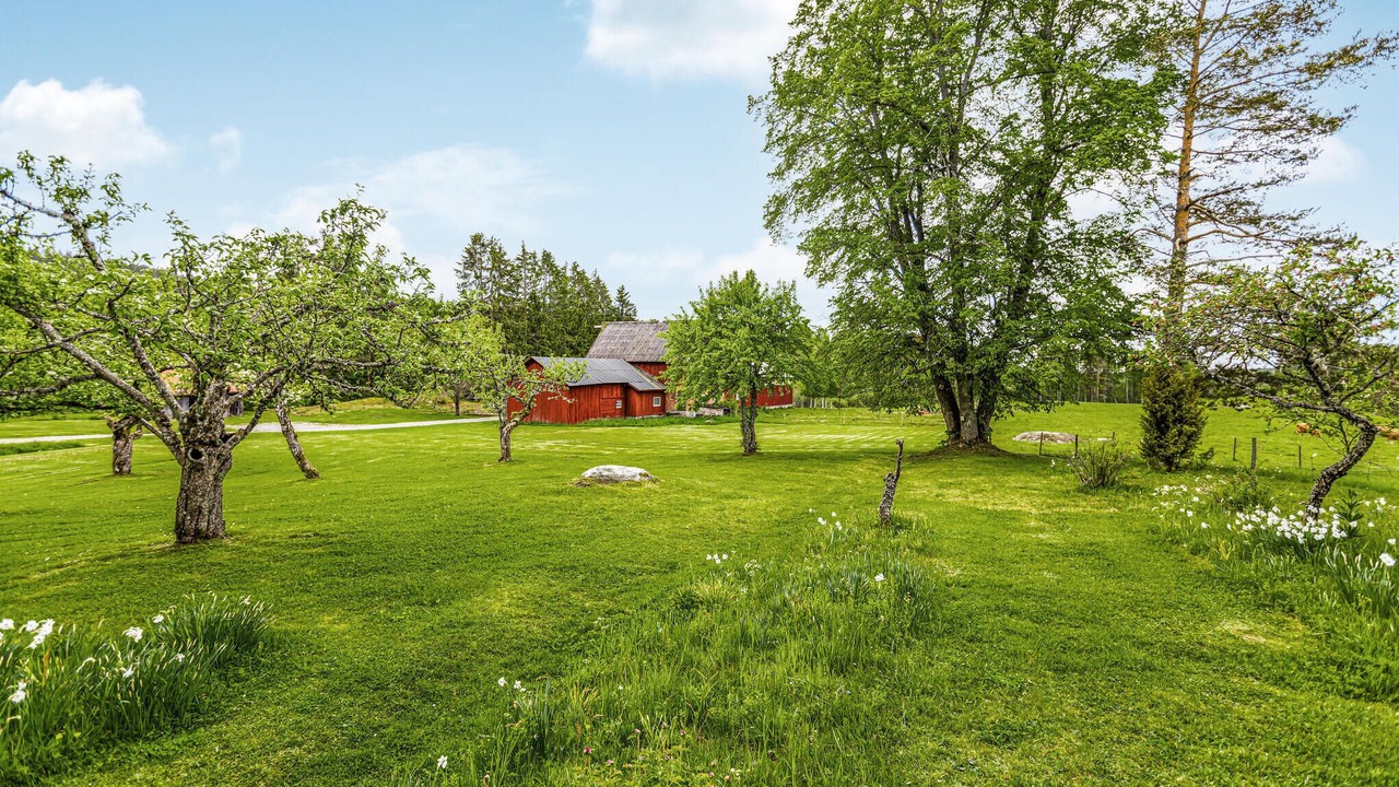 Photo of Others in Langserud