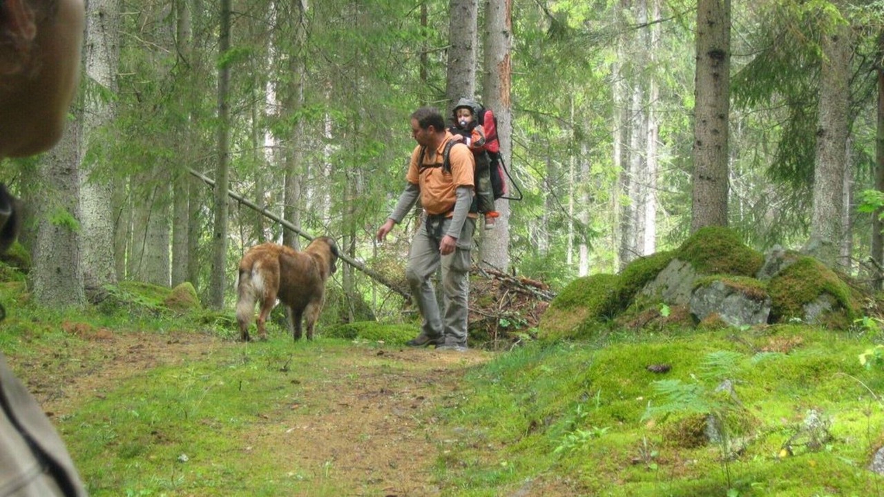 Photo of Outdoor in Morlunda