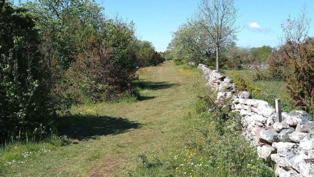 Photo of Others in Farjestaden