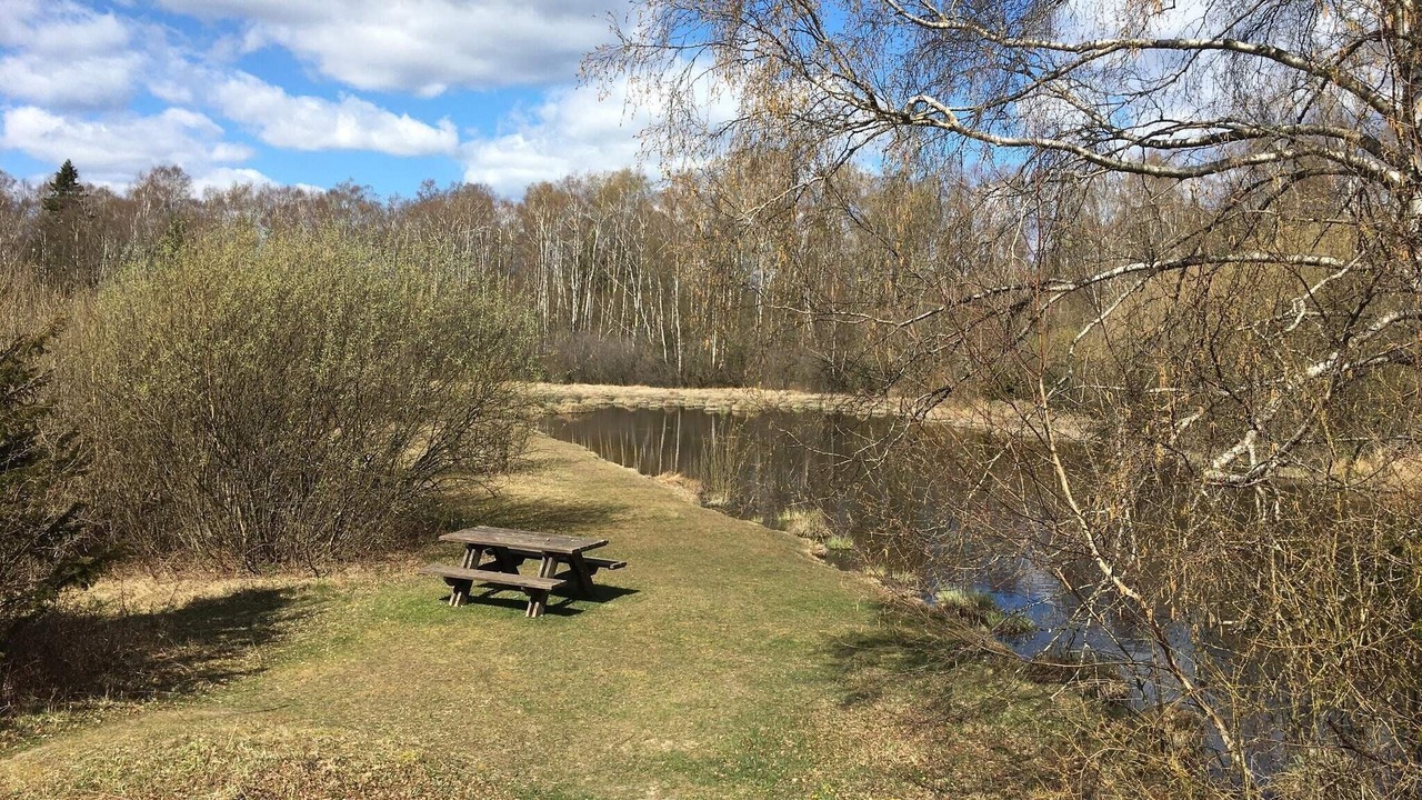 Photo of Others in Farjestaden