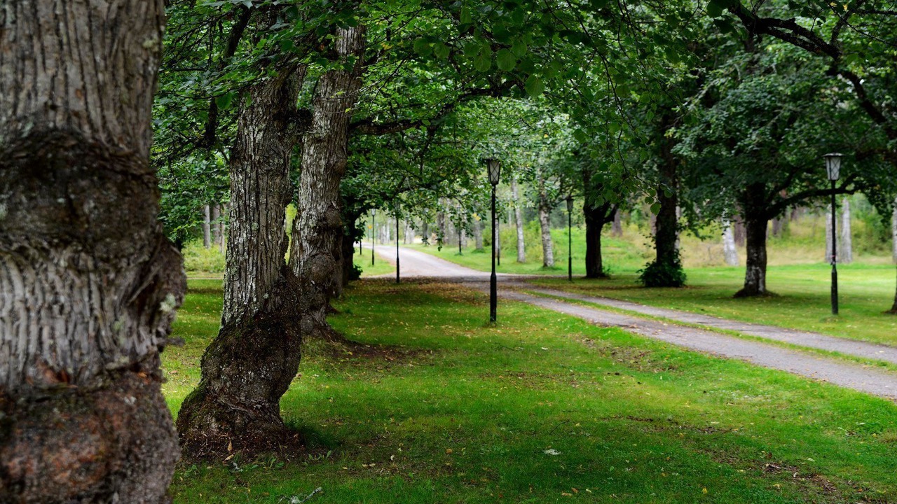 Photo of Outdoor in Uddeholm