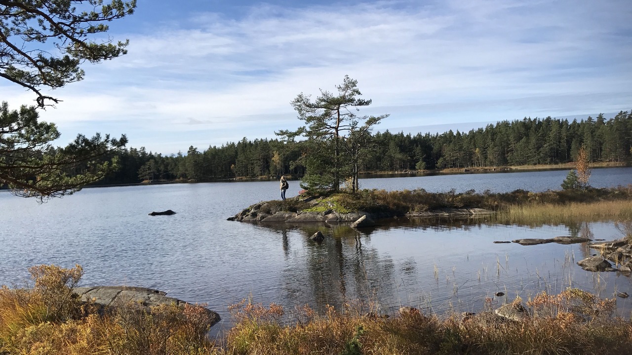 Photo of Outdoor in Tived