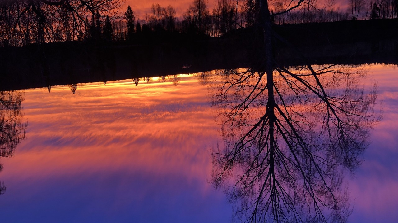 Photo of Others in Avesta