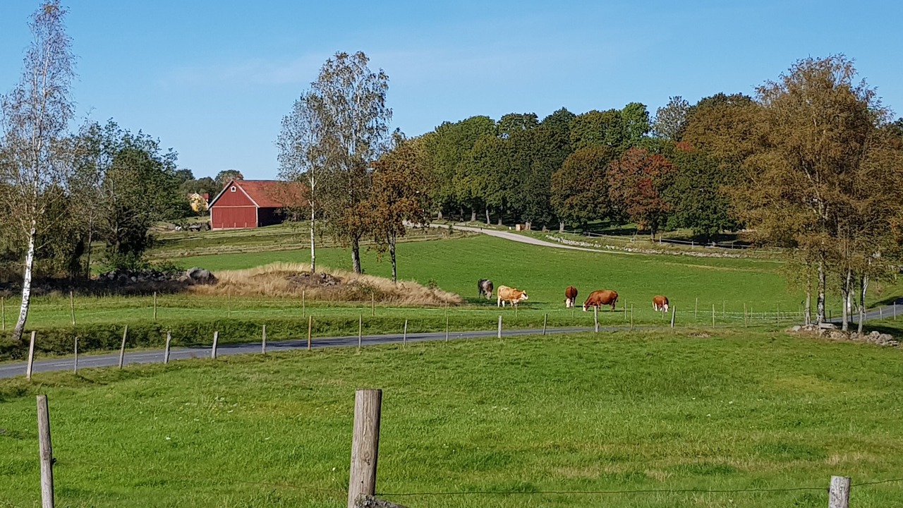 Photo of Others in Varnamo