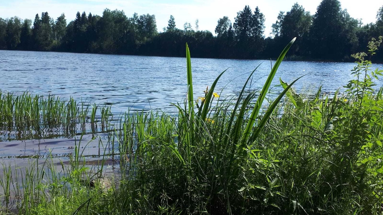 Photo of Others in Avesta