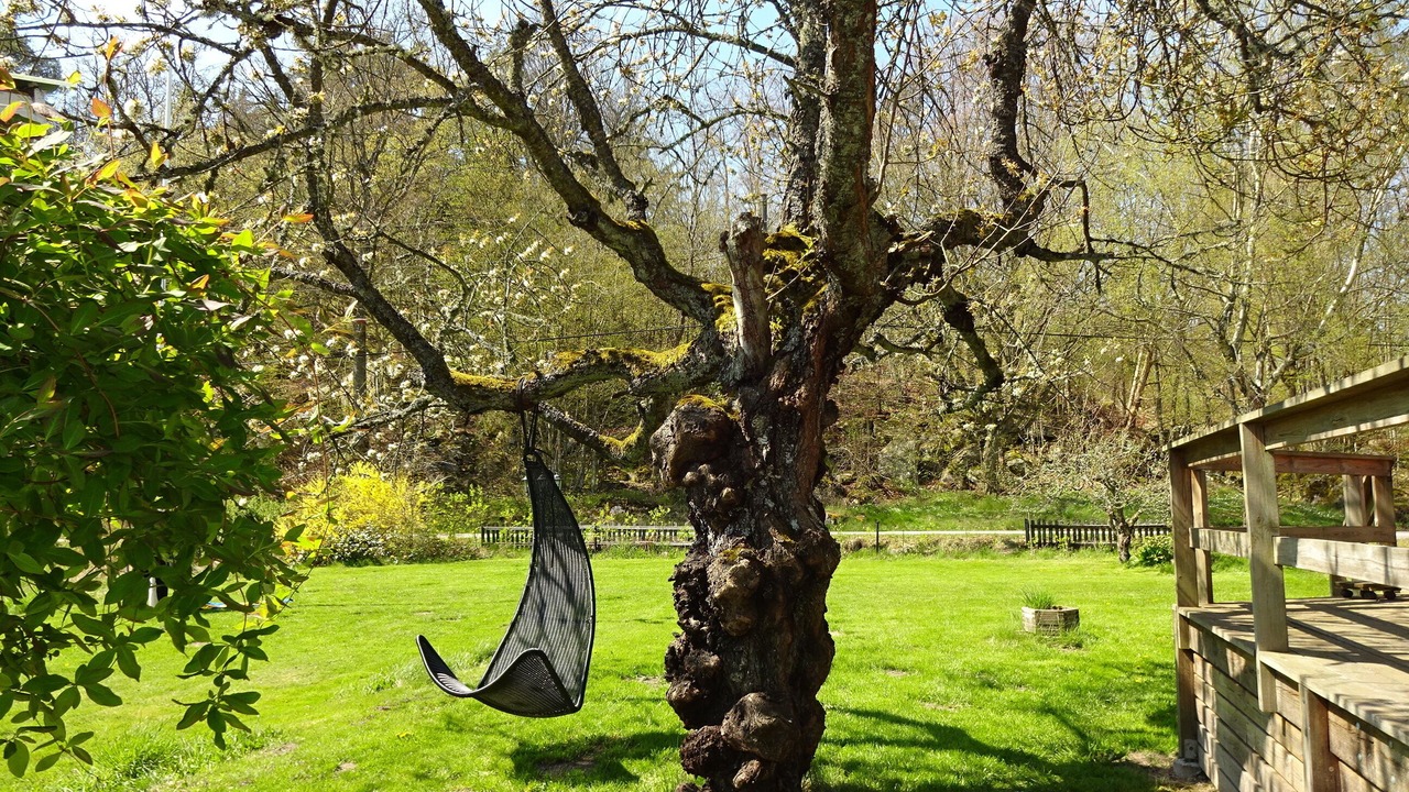 Photo of Outdoor in Brakne-Hoby