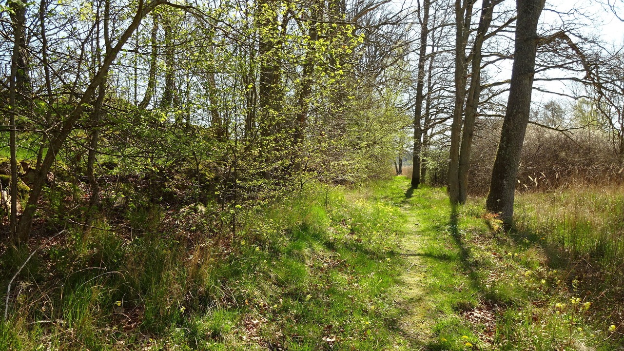 Photo of Outdoor in Brakne-Hoby