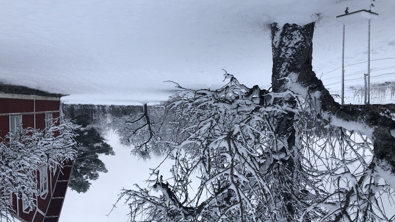 Photo of Others in Avesta