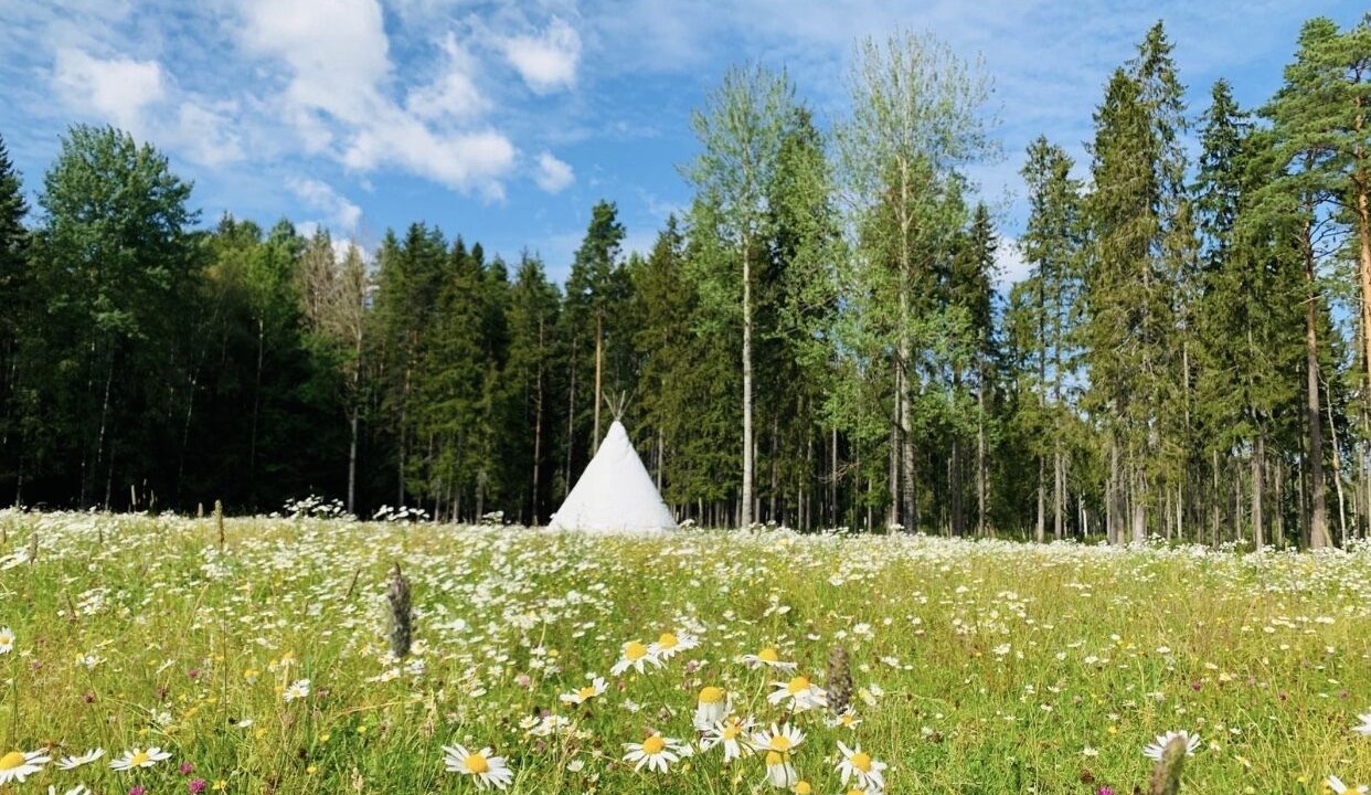 Photo of Others in Avesta