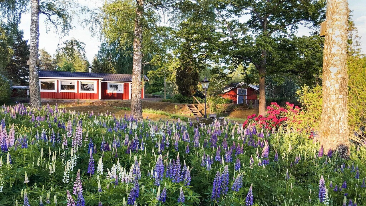 Photo of Outdoor in Hammar