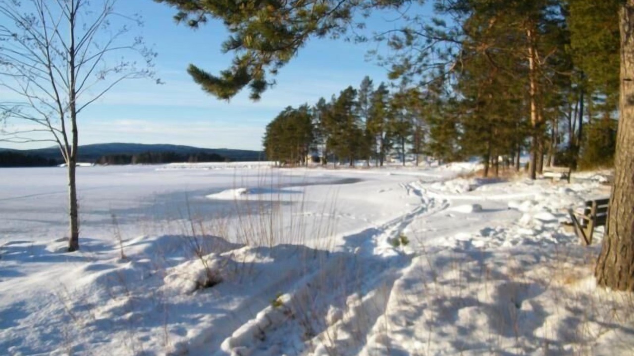 Photo of Others in Dalarna