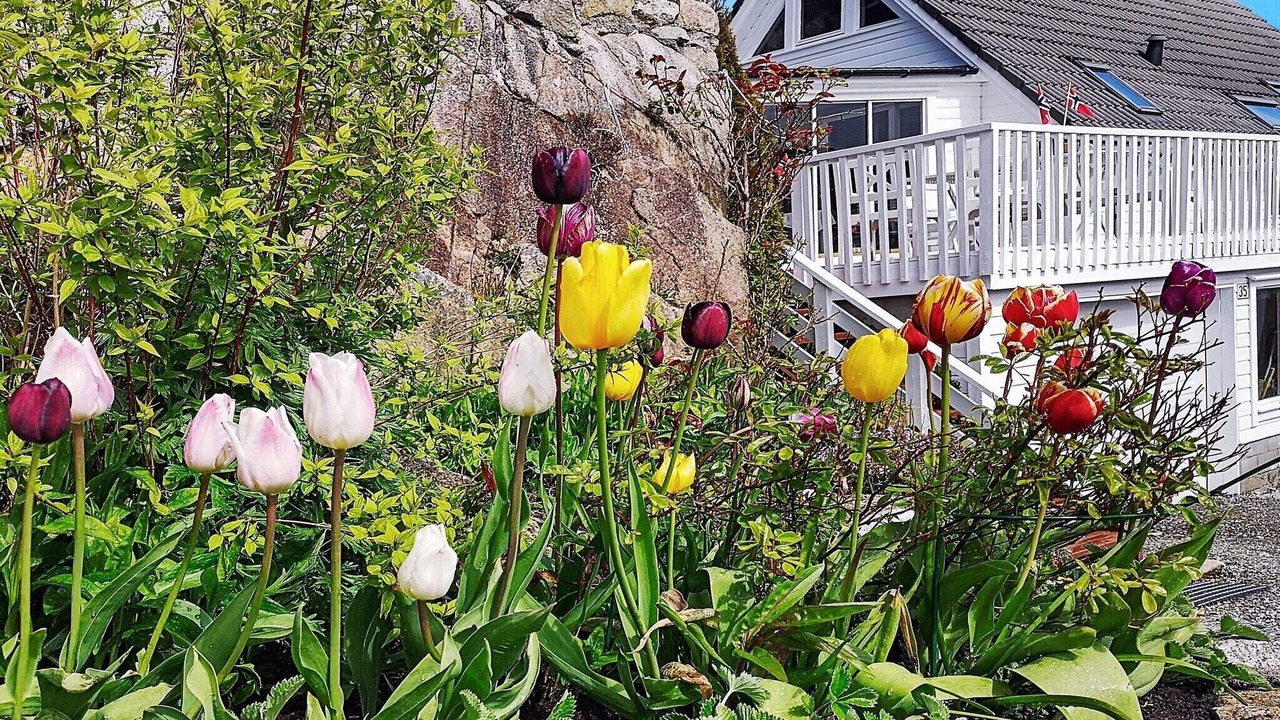 Photo of Outdoor in Bomlo
