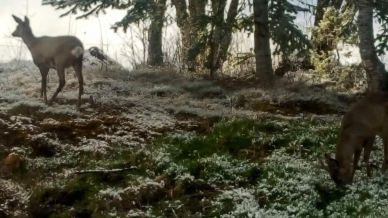 Photo of Outdoor in Frei