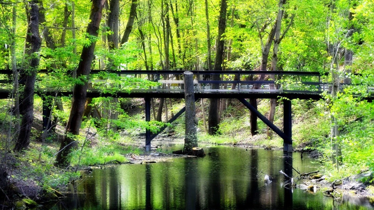 Photo of Outdoor in Arstaskog