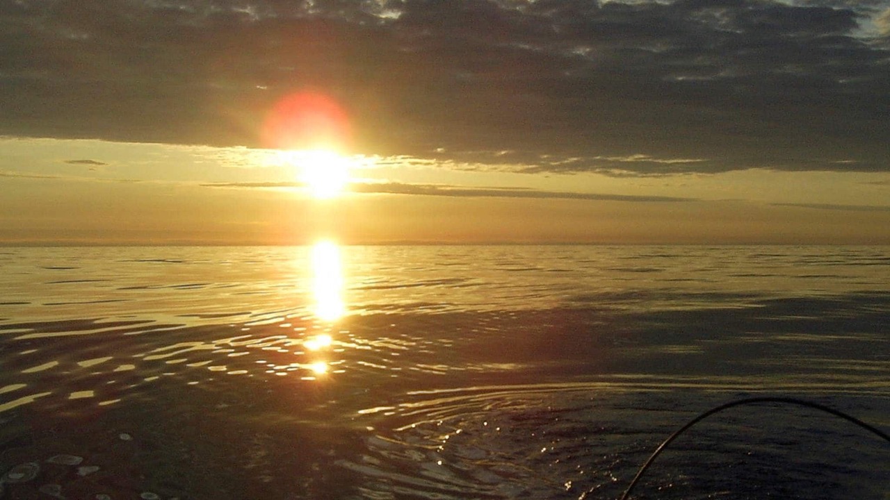 Photo of Others in Vestvagøy