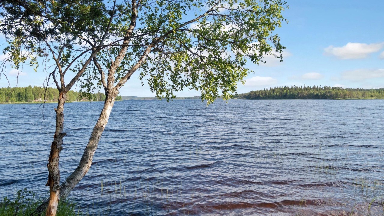 Photo of Others in Sonka