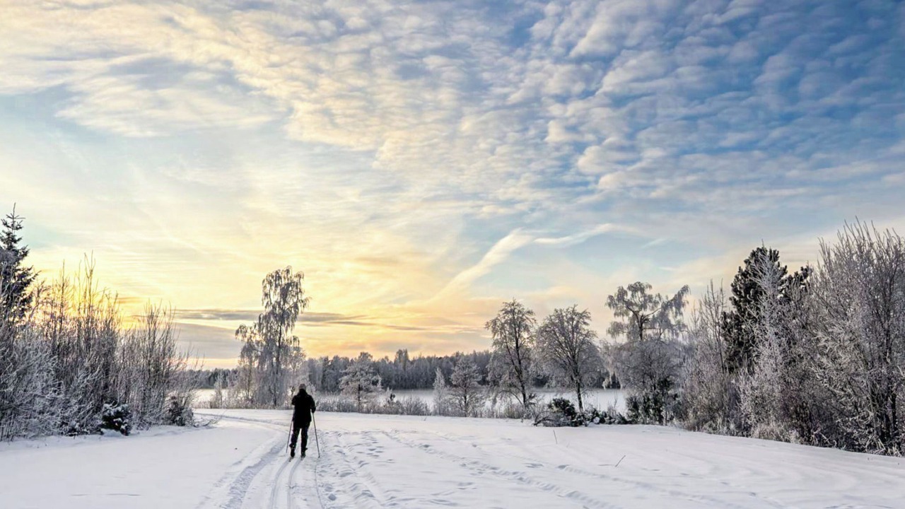 Photo of Others in Iltasmaki
